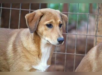 Schüchterne Millie würde gerne mehr vom Leben kennenlernen