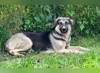 Liebe Claire wartet schon seit fast vier Jahren