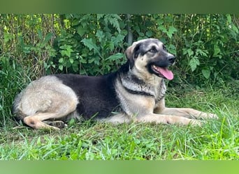 Liebe Claire wartet schon seit fast vier Jahren