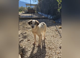 Lucy - kleines Hasenherz taut langsam auf