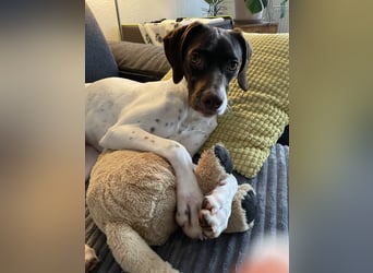 Lottie - Wirbelwind sucht Neustart