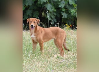 Schüchterne Millie braucht Hilfe