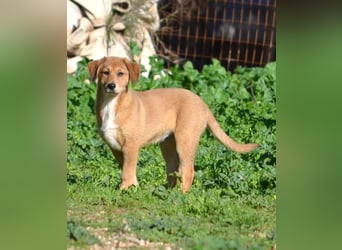 Schüchterne Millie würde gerne mehr vom Leben kennenlernen
