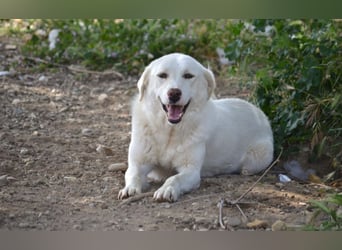 Nelia, bereit für ein Leben voller Liebe