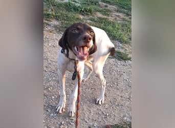 Lottie - Wirbelwind sucht Neustart