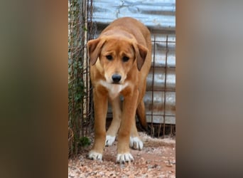 Schüchterne Millie würde gerne mehr vom Leben kennenlernen