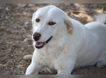 Nelia, bereit für ein Leben voller Liebe
