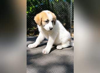 Butter K hat schon Erfahrung mit Abenteuern