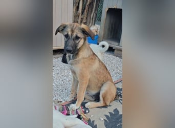 Cleo - süß kann ich!