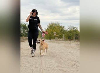 Godiva - Liebevolle Seniorin wartet auf ihr Happy-End