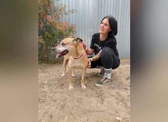 Godiva - Liebevolle Seniorin wartet auf ihr Happy-End