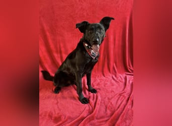 JACKY - Schwarze aktive  Schönheit!