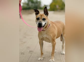 Godiva - Liebevolle Seniorin wartet auf ihr Happy-End