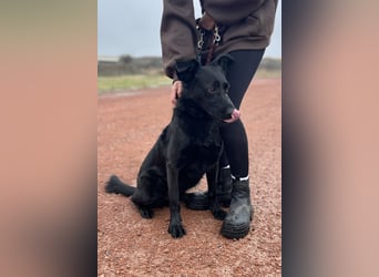 JACKY - Schwarze aktive  Schönheit!