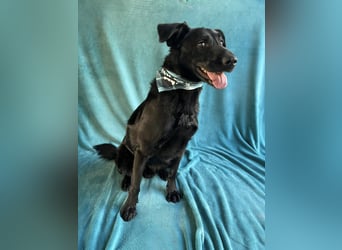 JACKY - Schwarze aktive  Schönheit!