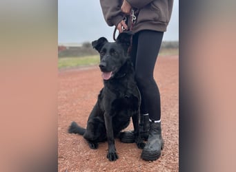 JACKY - Schwarze aktive  Schönheit!