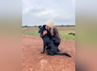 JACKY - Schwarze aktive  Schönheit!