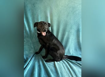 JACKY - Schwarze aktive  Schönheit!