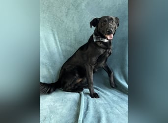 JACKY - Schwarze aktive  Schönheit!