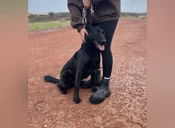 JACKY - Schwarze aktive  Schönheit!