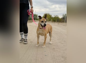 Godiva - Liebevolle Seniorin wartet auf ihr Happy-End