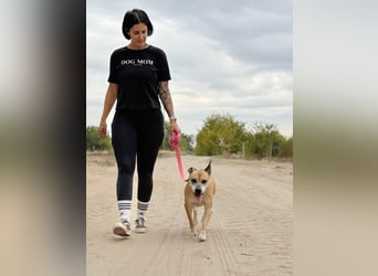 Godiva - Liebevolle Seniorin wartet auf ihr Happy-End