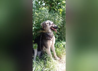 Diana, freundlich und bescheiden