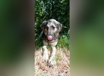 Diana, freundlich und bescheiden