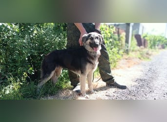 Diana, freundlich und bescheiden