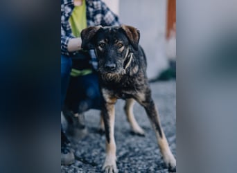 Jack - Kluger junger Mann sucht seine lieben Menschen