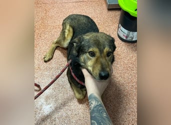 Jerry wartet schon unfassbar lange