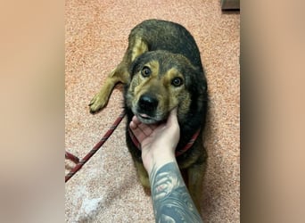 Jerry wartet schon unfassbar lange