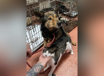 Jerry wartet schon unfassbar lange