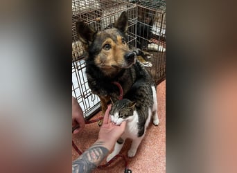 Jerry wartet schon unfassbar lange