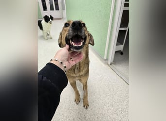 Jessy - sanft und freundlich