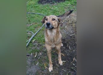 Jessy - sanft und freundlich