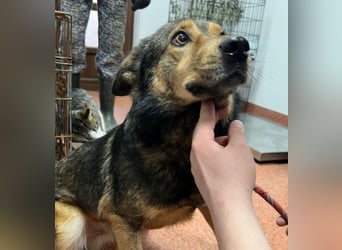 Jerry wartet schon unfassbar lange