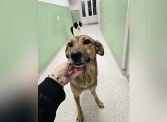 Jessy - sanft und freundlich