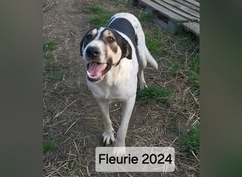 Fleurie - gibt die Hoffnung auf