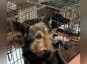 Jerry wartet schon unfassbar lange