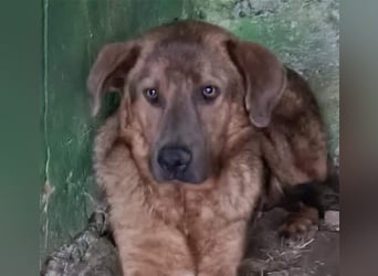 Jesper - muss Vertrauen fassen