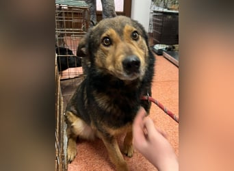 Jerry wartet schon unfassbar lange