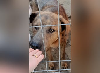 Jesper - muss Vertrauen fassen