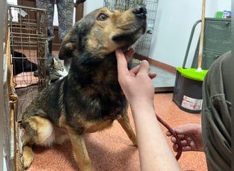 Jerry wartet schon unfassbar lange