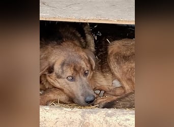 Jesper - muss Vertrauen fassen