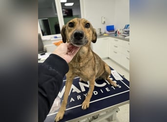 Jessy - sanft und freundlich