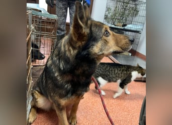 Jerry wartet schon unfassbar lange