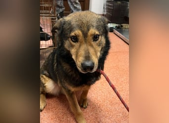 Jerry wartet schon unfassbar lange