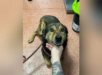 Jerry wartet schon unfassbar lange