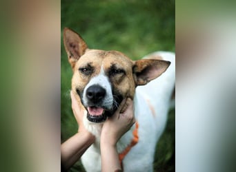 Hübsche Jenny sucht liebevolles Zuhause